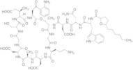 N-Desdecanoyl N-(2-(5-hexyltetrahydrofuran-2-yl)acetyl) Daptomycin