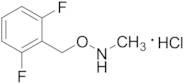 O-(2,6-Difluorobenzyl)-N-methylhydroxylamine Hydrochloride