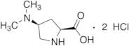 (4S)-4-(Dimethylamino)-L-proline Dihydrochloride