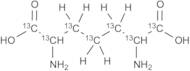 2,6-Diaminoheptanedioic Acid-13C7