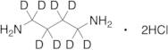 1,4-Butane-d8-diamine Dihydrochloride