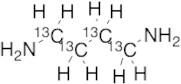 1,4-Diaminobutane-13C4