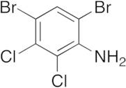 4,6-Dibromo-2,3-dichloroaniline