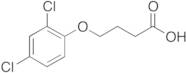 4-(2,4-Dichlorophenoxy)butanoic Acid