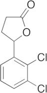 5-(2,3-Dichlorophenyl)dihydro-2(3H)-furanone