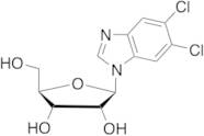 5,6-Dichloropurine-1-Beta-D-ribofuanosyl-H-benzimidazole