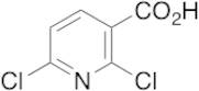 2,6-Dichloropyridine-3-carboxylic Acid