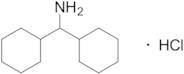Dicyclohexylmethanamine Hydrochloride