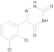 3,5-Didesamino-3,5-dioxo Lamotrigine