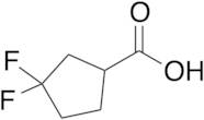 3,3-Difluorocyclopentanecarboxylic Acid