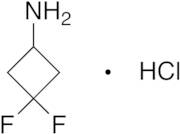 3,3-Difluorocyclobutanamine Hydrochloride