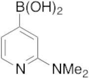 2-(Dimethylamino)-4-pyridinyl-boronic Acid