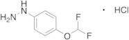 [4-(Difluoromethoxy)phenyl]hydrazine Hydrochloride