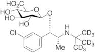 rac Erythro Dihydrobupropion Beta-D-Glucuronide-d9