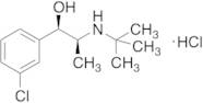 rac-erythro-Dihydro Bupropion Hydrochloride