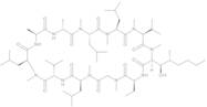 Dihydro Cyclosporin A
