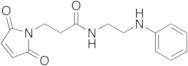 2,5-Dihydro-2,5-dioxo-N-[2-(phenylamino)ethyl]-1H-pyrrole-1-propanamide