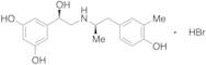 (1RS)-1-(3,5-Dihydroxyphenyl)2-[[(1RS)-2-(4-hydroxy-3-methylphenyl)-1-methylethyl]aminoethanol Hyd…