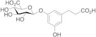 3,5-Dihydroxyphenylpropanoic Acid 3-O-b-D-Glucuronide(>85%)