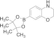 3,4-Dihydro-2H-1,4-benzoxazine-7-boronic Acid Pinacol Ester
