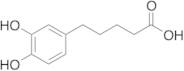 5-(3,4-dihydroxyphenyl)pentanoic Acid