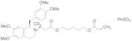 cis-1-[(3,4-Dimethoxyphenyl)methyl]-1,2,3,4-tetrahydro-6,7-dimethoxy-2-methyl-2-[3-oxo-3-[[5-[(1-o…