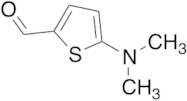 5-Dimethylamino-thiophene-2-carbaldehyde