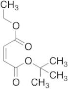 (2Z)-1-(1,1-Dimethylethyl)-2-butenedioic Acid 4-Ethyl Ester