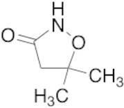 5,5-Dimethylisoxazolidin-3-one