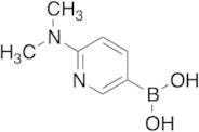 6-(Dimethylamino)pyridine-3-boronic acid