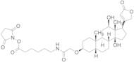 (3β,5β,12β)-3-[2-[[6-[(2,5-Dioxo-1-pyrrolidinyl)oxy]-6-oxohexyl]amino]-2-oxoethoxy]-12,14-dihydrox…