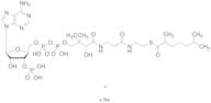 2,6-Dimethylheptanoyl-CoA Sodium Salt