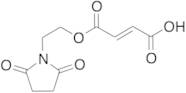 (E)-4-(2-(2,5-Dioxopyrrolidin-1-yl)ethoxy)-4-oxobut-2-enoic Acid
