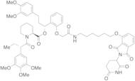 dTAG-13