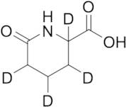 6-Oxopipecolic Acid-d4 (Major)