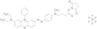 3-(Diethylamino)-7-[2-[4-[[4-[(2,5-dioxo-1-pyrrolidinyl)oxy]-4-oxobutyl]methylamino]phenyl]diazeny…