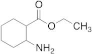 Ethyl 2-Aminocyclohexane-1-carboxylate