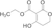 Ethyl 5,6-Dihydro-4-hydroxy-2-oxo-2H-pyran-3-carboxylate