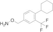 O-[[4-Cyclohexyl-3-(trifluoromethyl)phenyl]methyl]hydroxylamine