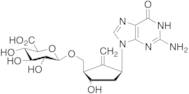 Entecavir 3’’-O-β-D-Glucuronide