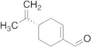 (S)-Perillaldehyde (92%)