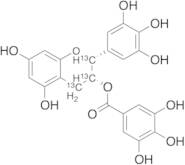 (-)-Epigallocatechin Gallate-13C3