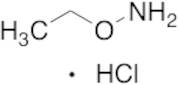 Ethoxyamine Hydrochloride