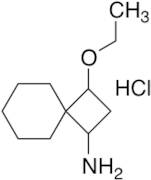 3-Ethoxyspiro[3.5]nonan-1-amine Hydrochloride