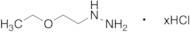 (2-ethoxyethyl)hydrazine xHCl salt