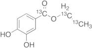 Ethyl 3,4-Dihydroxybenzoate-13C3