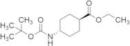 rel-(1R,4R)-Ethyl-4-(t-butoxycarbonylamino)cyclohexanecarboxylate