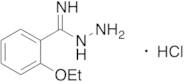 2-Ethoxybenzenecarboximidic Acid Hydrazide Hydrochloride