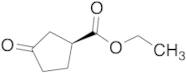 (S)-Ethyl 3-oxocyclopentanecarboxylate