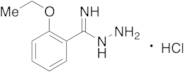 2-Ethoxybenzimidohydrazide Hydrochloride